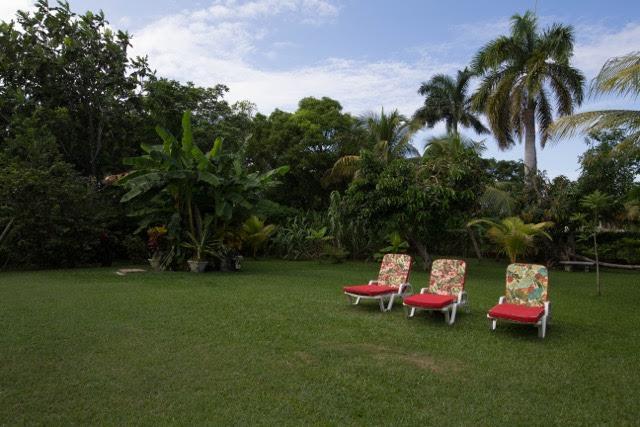 Lorenton Hideaway Lucea Extérieur photo
